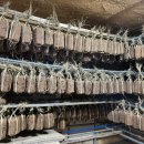 문덕장류마을 이미지