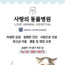 솔샘 동물병원 이미지