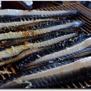 풍천장어 이미지