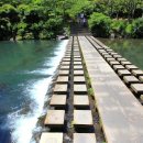 제주 서귀포 정방폭포 이미지