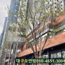 동대정육점 이미지