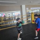 복싱 매니아 이미지