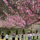 한천 농장 이미지