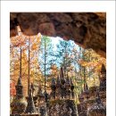 산림욕장 이미지