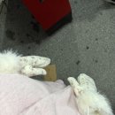 경상북도교육청성주도서관 | 2026년 1월 잘 해봐야지요