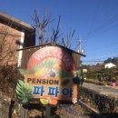 파파야 펜션 이미지