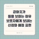 꼬리 흔드는 강아지 | 강아지가 등을 보이는 이유｜보호자에게 보내는 신뢰와 애정 표현