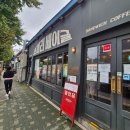 코끼리 | 내돈내산 코끼리베이글 후기