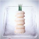 엡솔루트 이미지