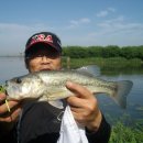 청천 배수장 이미지