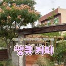 안동 카페 땡큐커피 | 여행자의 취향을 저격한 빈티지 공간과 인생 당근케이크의 만남