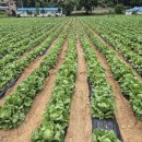 농민유통 이미지