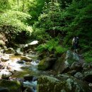 봄내슈퍼 이미지