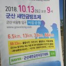 가력휴게소 | 2018년 군산새만금대회 33km 후기/신청, 바른걷기자세 하체운동! 고추짜장/짬뽕 지린성에서 점심...