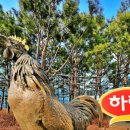 하림투어 이미지