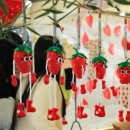 딸기덕후 소환 🍓 논산 딸기축제 완벽 정리!