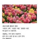 오분 이미지