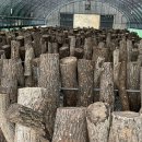 반석농장(2) 이미지