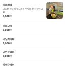 #서산여행 #한가로이 #힐링카페추천 #개심사 #봄여행 #국내여행