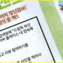 부산강아지분양 드림독 안심분양센터 부산점 이미지