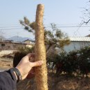 운마농장 이미지