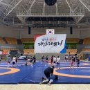 레슬링 무예신문