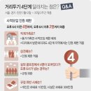 로그라운드