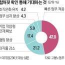 잡핏