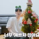 트리몰리 이미지