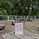 호명 | 시대예보 호명사회 후기 송길영 지음