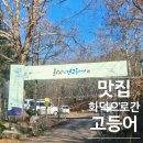 먹고보리 | 수락산 맛집 생선구이 화덕으로간고등어 수락산점 화덕고등어구이·보리굴비정식 먹고 온 후기