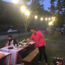 강변사리 이미지