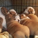 옹기종기 이미지