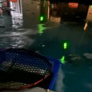 낭만물고기실내바다낚시터 이미지