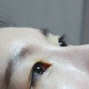 도도안속눈썹 네이버블로그