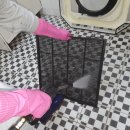 청인크리닝 이미지