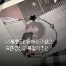 스텔란스 | 리오므 블랑누아 스텔란스 목걸이, 너에게 주고픈 감성 아이템 리뷰