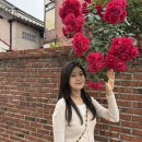 본미미 민박 | 2025년 여섯번째 기록