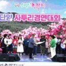 단양수변무대 네이버블로그