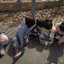 금호산 유아숲체험원 이미지