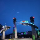 삼척장미축제 장미공원을 다녀와서 후기 남겨요