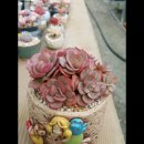 고전적인화분에도 잘어울리는 다육화분후기글 입니다.^^~