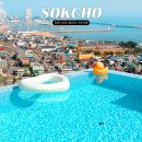 티니홈 | 강원도 호캉스 추천 홈 마리나 속초 오션뷰 수영장 호텔 혼자여행 숙박후기