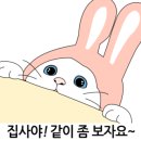 지경희동물병원 이미지