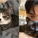 심경목장 이미지