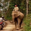 홍천순대국 이미지