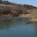 유곡소류지 Daum카페