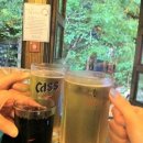 솔향기치킨
