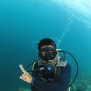 필리조트 이미지