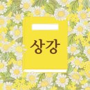 칼갈이명장 이미지